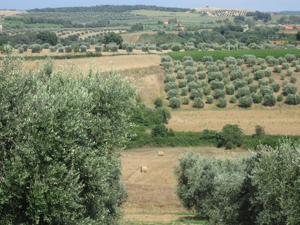 Agriturismo La Carlina Villa Маляно ин Тоскана Екстериор снимка